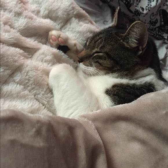 PSA : My Furry Friends - Picture 9 of 12